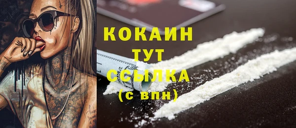 apvp Белокуриха